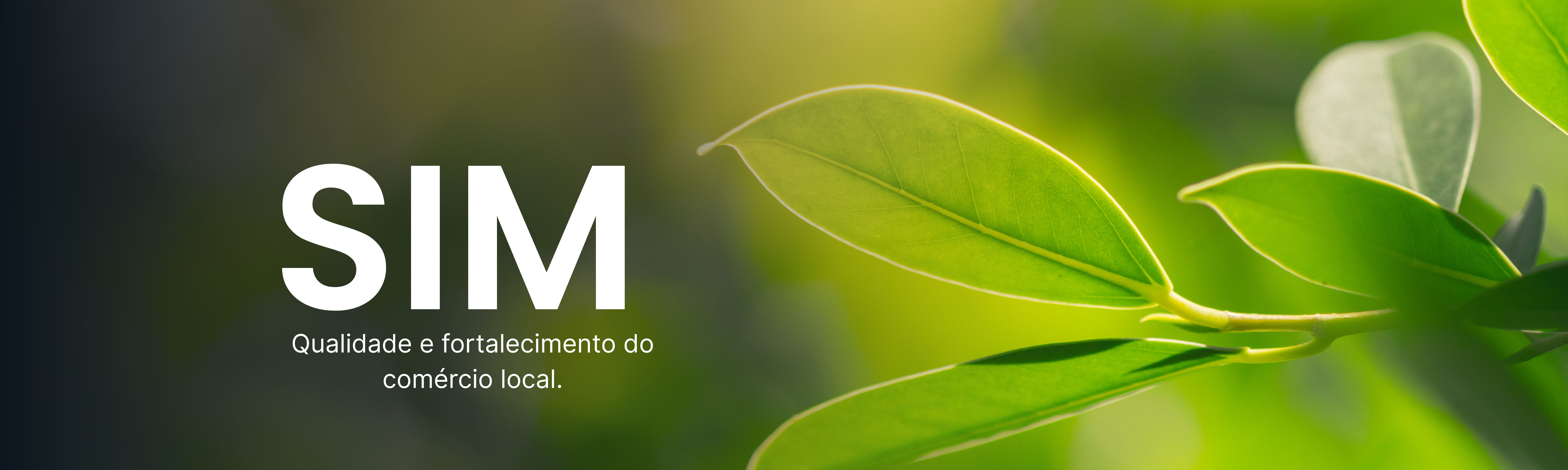 Banner 2